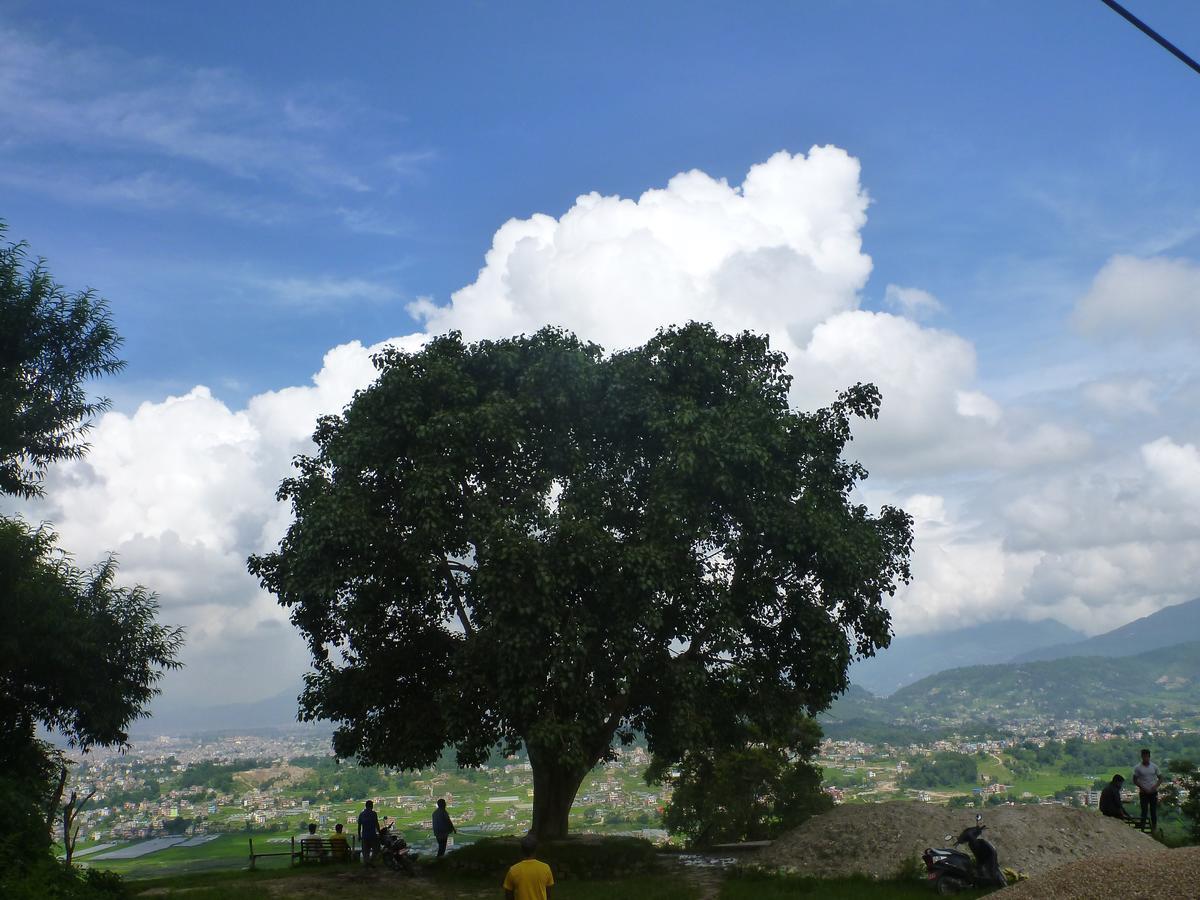 Star View Guest House Bhaktapur Ngoại thất bức ảnh